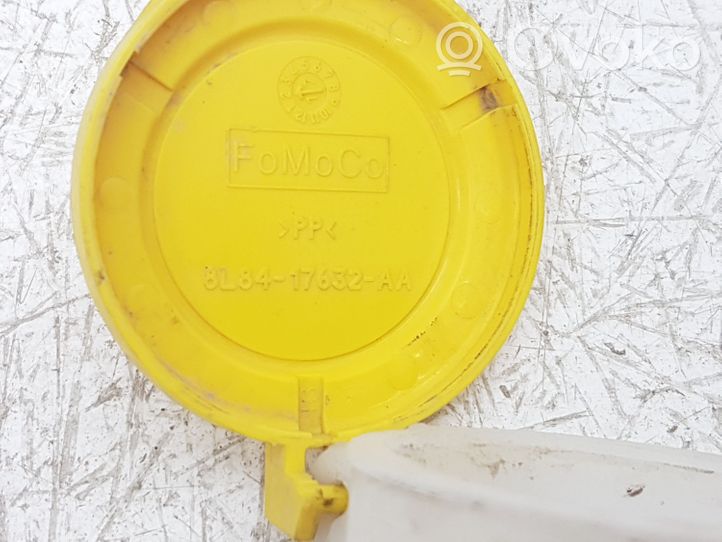 Ford Escape III Einfüllschlauch Waschwasserbehälter 8L8417632