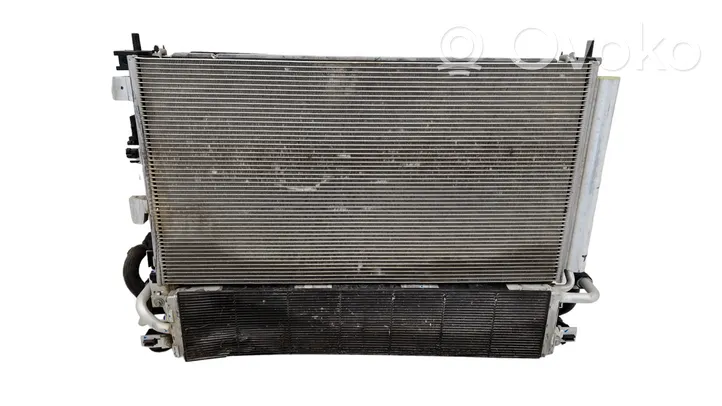 Ford Maverick Set del radiatore LX6119710