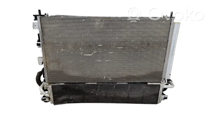 Ford Maverick Radiator set LX6119710