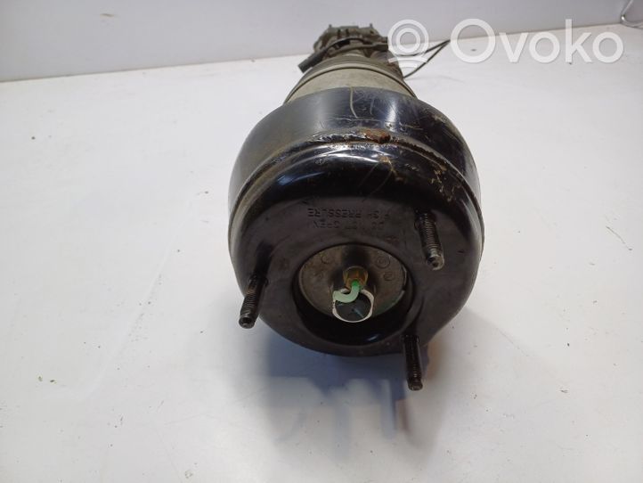 Mercedes-Benz GLE (W166 - C292) Ammortizzatore anteriore A2923200300