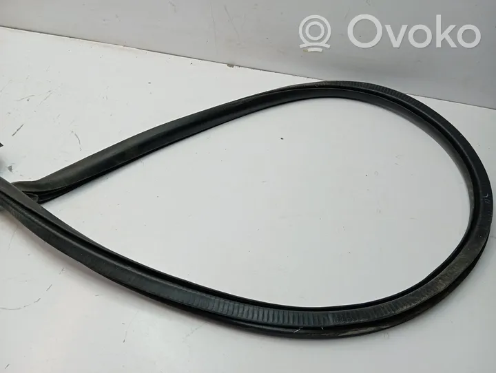 Maserati Levante Front door rubber seal 670032866