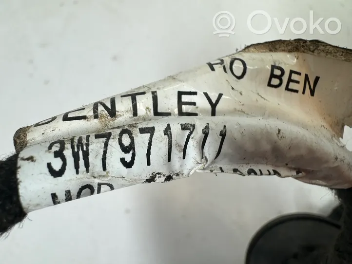 Bentley Continental Inna wiązka przewodów / kabli 3W7971711