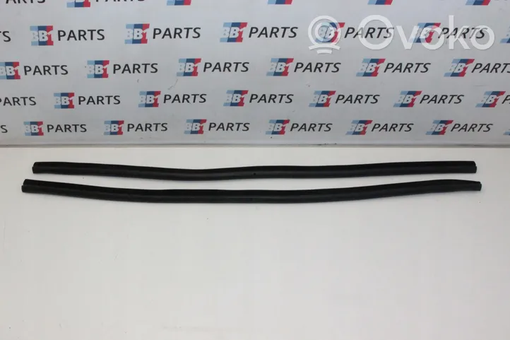 BMW 4 F32 F33 Front door rubber seal 7279747