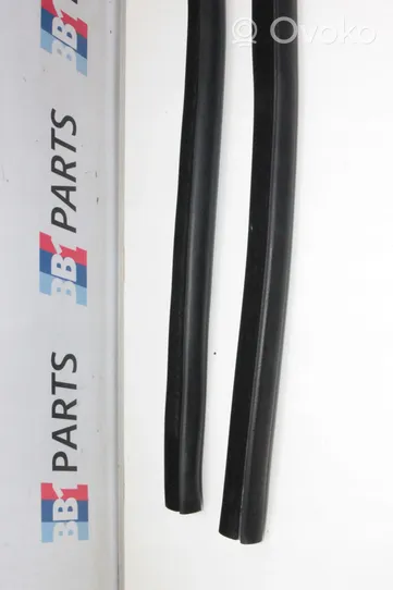 BMW 4 F32 F33 Front door rubber seal 7279747