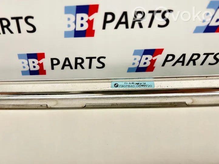 BMW 3 F30 F35 F31 Rear door trim (molding) 7307840