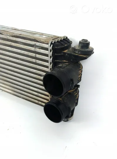 Ford F150 Starpdzesētāja radiators FL346K775AC