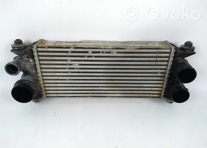 Ford F150 Starpdzesētāja radiators FL346K775AC