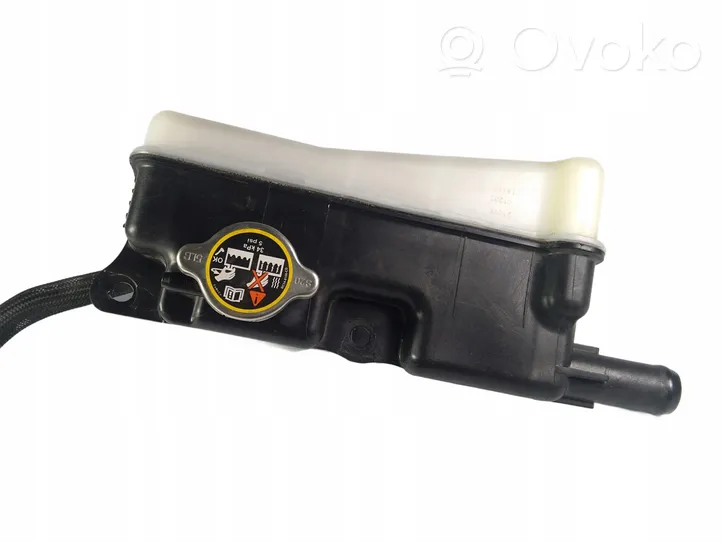 Ford F250 Serbatoio di compensazione del liquido refrigerante/vaschetta LC348C045CA