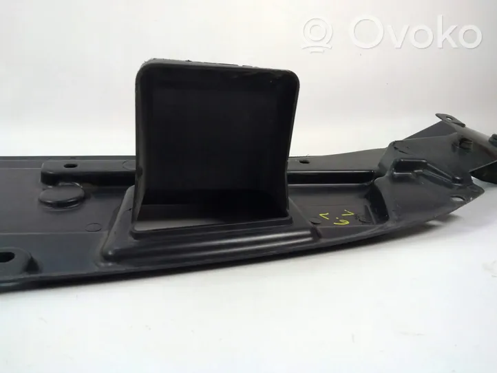 Ford F350 Rivestimento della modanatura della chiusura del vano motore/cofano LC3B19E525BE