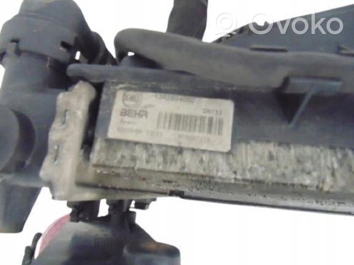 Citroen Jumper Chłodnica powietrza doładowującego / Intercooler 1342584080