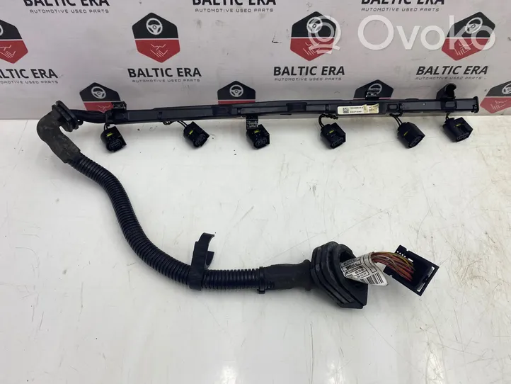 BMW 6 F06 Gran coupe Fuel injector wires 755066604