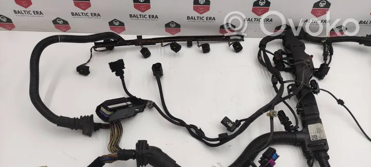 BMW 3 F30 F35 F31 Other wiring loom 756069705C