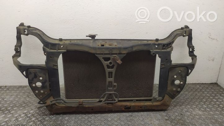 KIA Rio Radiatoru panelis (televizors) 641011G000