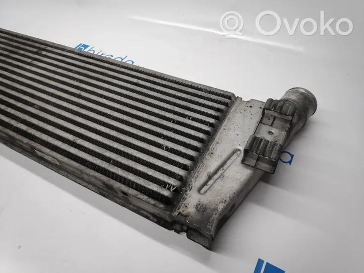 Renault Megane II Chłodnica powietrza doładowującego / Intercooler 