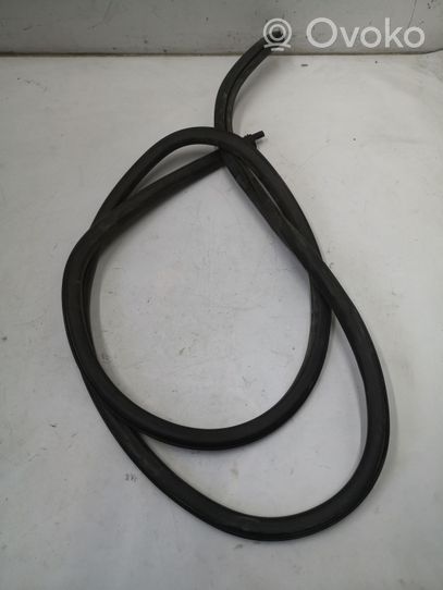 Volkswagen Touareg II Front door rubber seal 