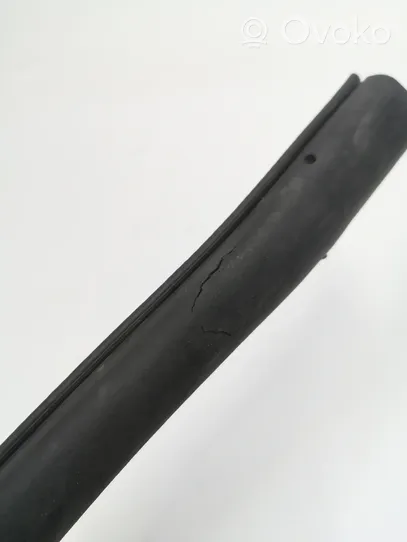 Ford Mustang VI Front door rubber seal 