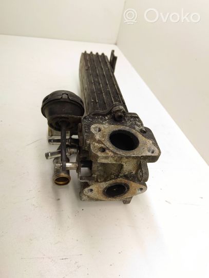 Audi A3 S3 8P EGR aušintuvas 03G131513