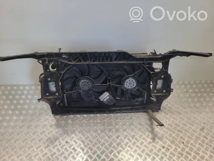 Audi A4 S4 B8 8K Radiatoru panelis (televizors) 8K0805594J