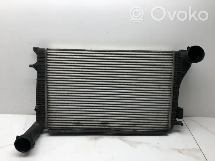 Volkswagen Golf V Radiatore intercooler 1K0145803H