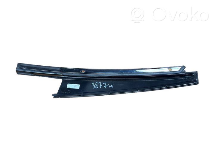 BMW 5 F10 F11 Rivestimento modanatura del vetro della portiera posteriore 7209715