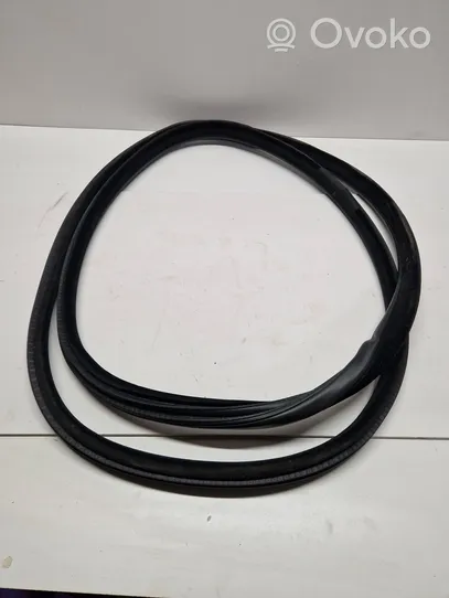 BMW X6 F16 Front door rubber seal 7317811