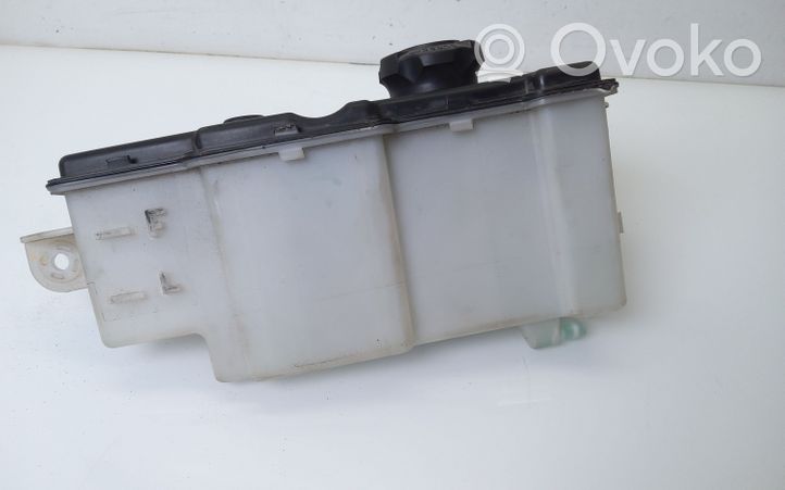 Hyundai ix35 Serbatoio di compensazione del liquido refrigerante/vaschetta 254304W100