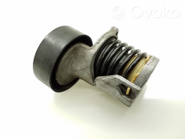 Volkswagen Polo IV 9N3 Tendicinghia generatore/alternatore 038903315AN