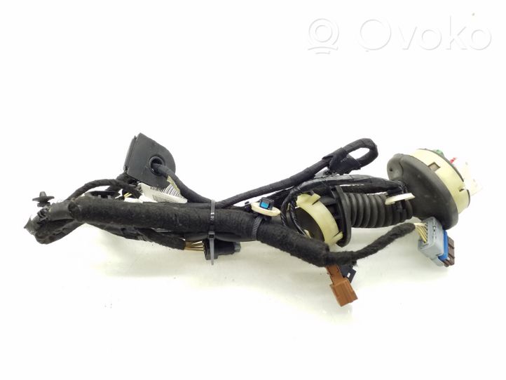 Citroen C3 Etuoven johtosarja 9689004080