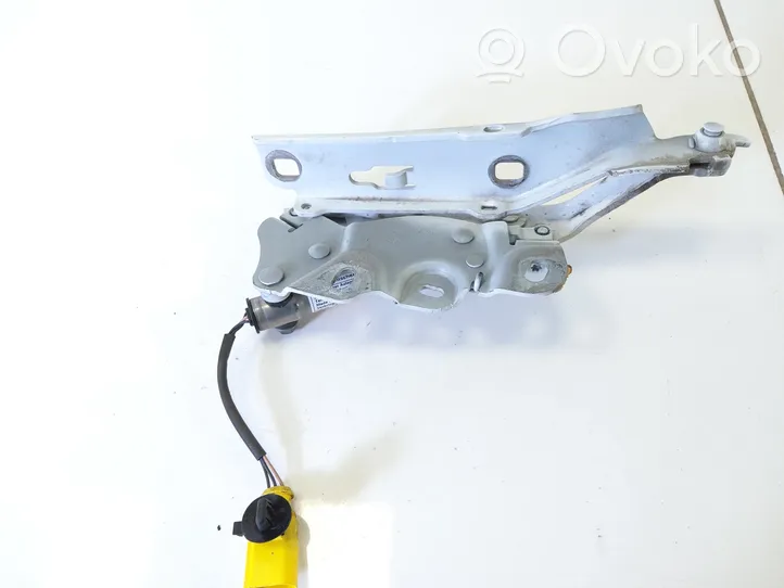 Audi A3 S3 8P Charnière, capot moteur 8V0823301