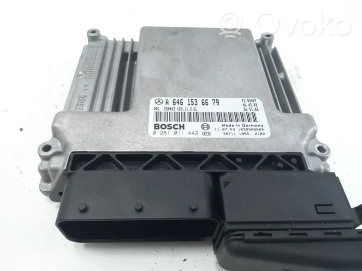 Mercedes-Benz E W212 Galios (ECU) modulis A6461536679