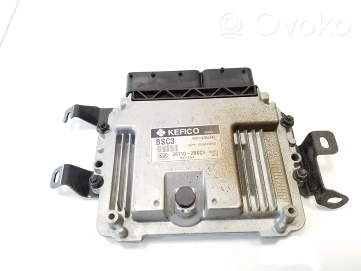 KIA Soul Sterownik / Moduł ECU 391102BSC3