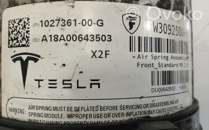 Tesla Model X Ammortizzatore anteriore a sospensione pneumatica 102736100G