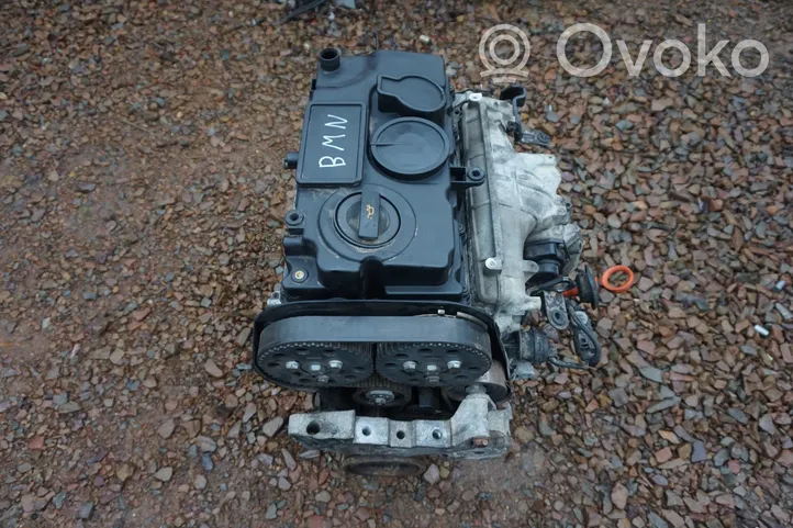 Volkswagen Eos Engine 