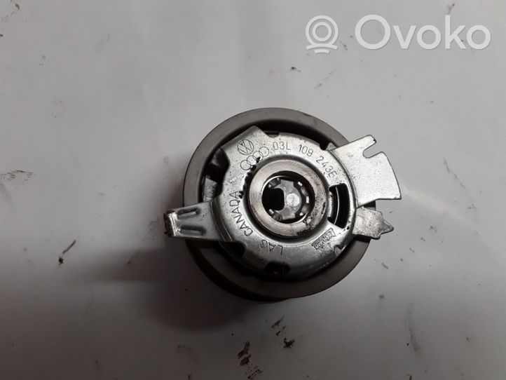 Volkswagen Tiguan Belt tensioner pulley 03L109243E