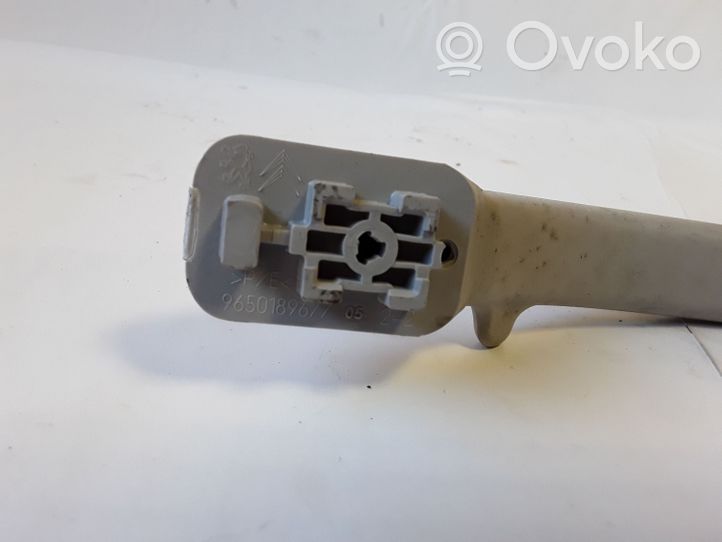 Citroen C3 Picasso Maniglia interna tetto anteriore 9650189677