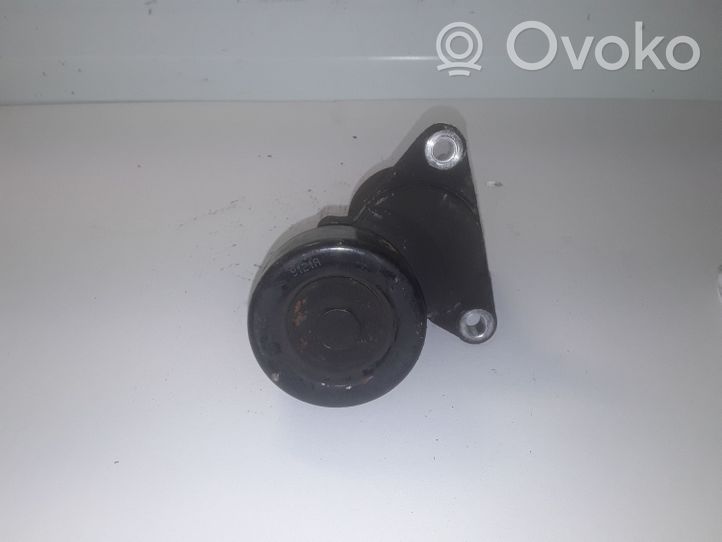 Hyundai Sonata Generator/alternator belt tensioner 