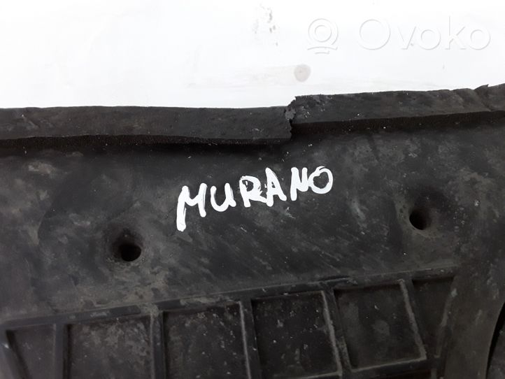 Nissan Murano Z51 Oro filtro dėžė 1AA0C