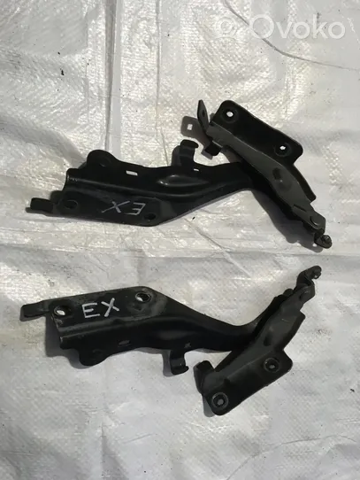 Infiniti EX Engine bonnet/hood hinges KOLOR