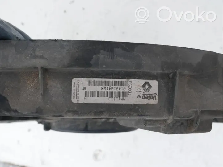 Renault Megane III Magneettiventtiili 214812415R