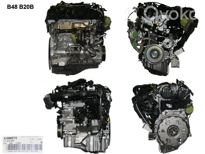 BMW 5 G30 G31 Motore B48B20B