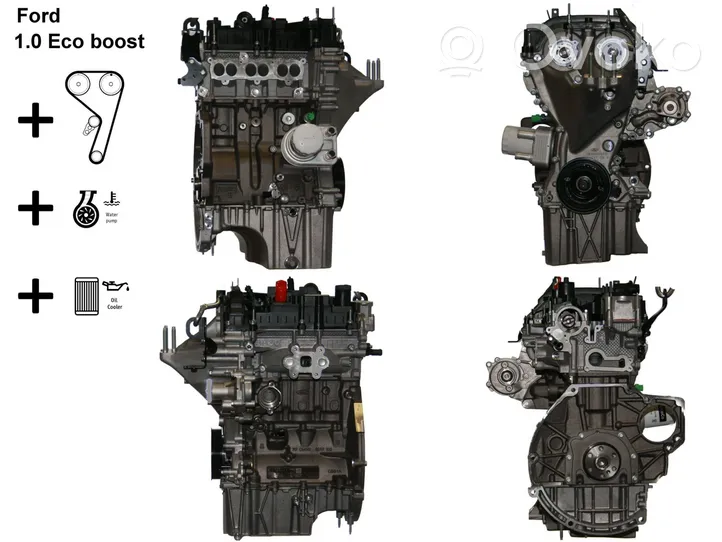 Ford Ecosport Moottori M1JE
