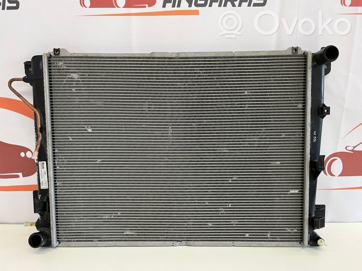 Hyundai Sonata Coolant radiator 253103K850