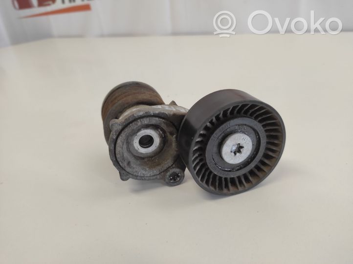 Seat Ibiza III (6L) Napinacz paska alternatora 03D903305G