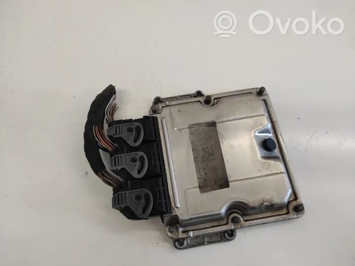 Renault Scenic I Engine control unit/module 0281010819