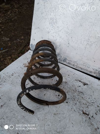 Hyundai Accent Rear coil spring 