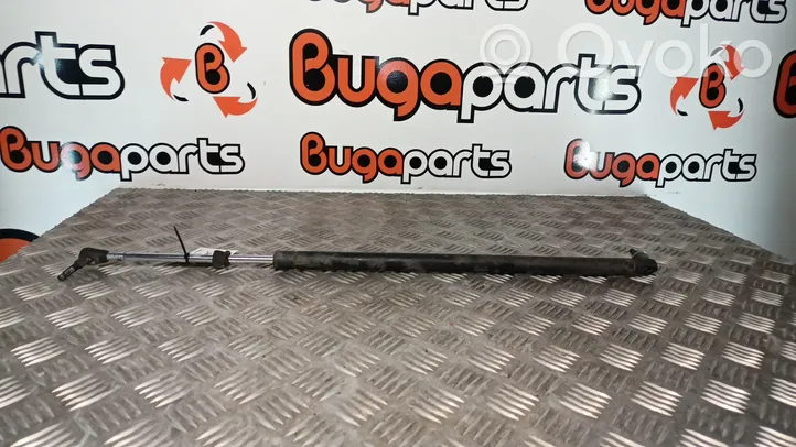 Chrysler Voyager Tailgate/trunk strut/damper 