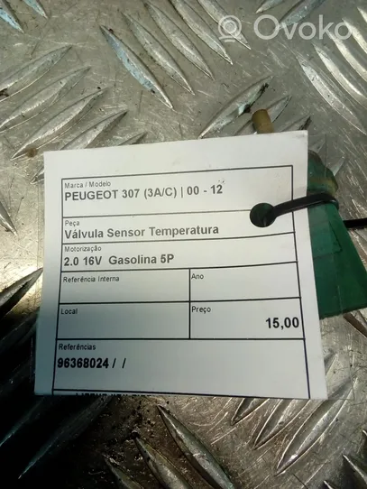 Peugeot 307 Lämmittimen puhallin 