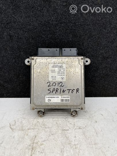 Mercedes-Benz Sprinter W906 Sterownik / Moduł ECU A6519000601