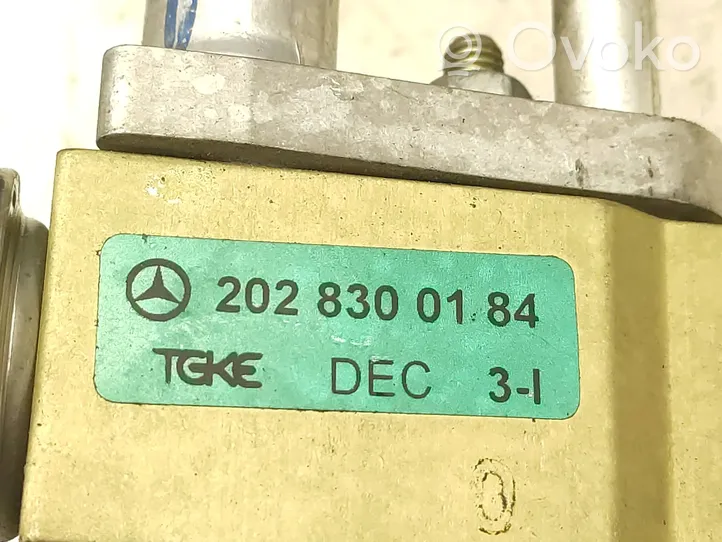 Mercedes-Benz Sprinter W901 W902 W903 W904 Ilmastointilaitteen laajennusventtiili (A/C) 2028300184