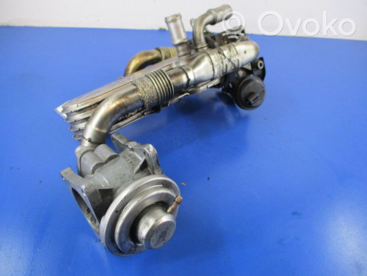 Volkswagen Jetta V EGR vožtuvas 038129637D